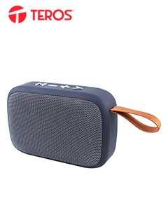 Parlante inalámbrico Teros TE6040G