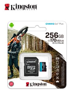 microsdxc canvas goplus 256gb