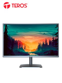 monitor teros te1914s